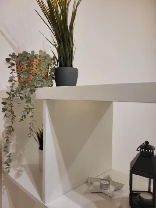 Rifugio In Citta Apartment Modena Ngoại thất bức ảnh